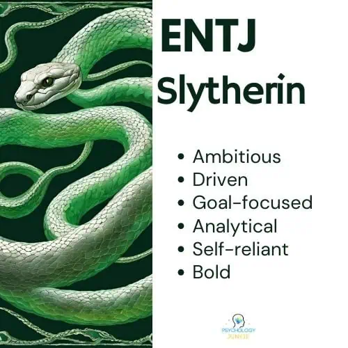 ENTJ is Slytherin House