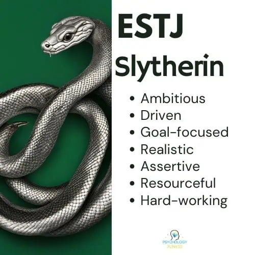 ESTJ is Slytherin House