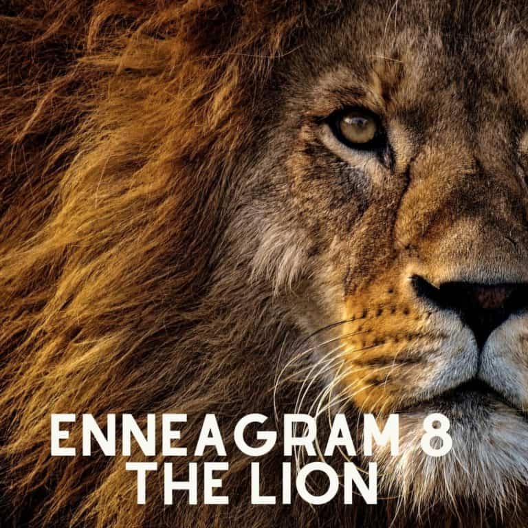 Here's the Animal You'd Be, Based On Your Enneagram Type - Psychology ...