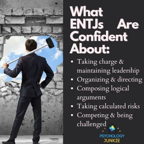 A list of the things that ENTJs are confident about