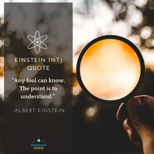 INTJ Einstein quote: “Any fool can know. The point is to understand.”