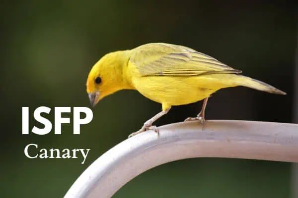 ISFP Canary