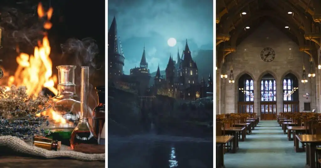 Find out which of the Hogwarts classes you'd excel at the most, based on your Myers-Briggs personality type.