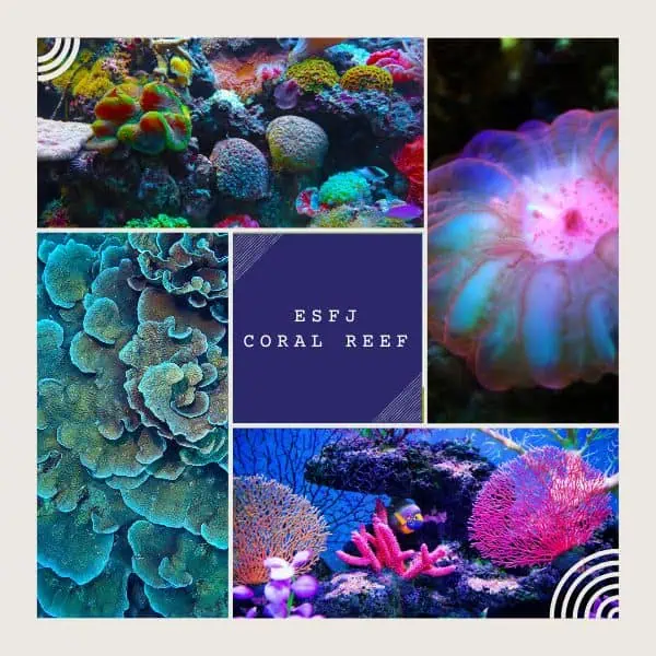 ESFJ coral reef