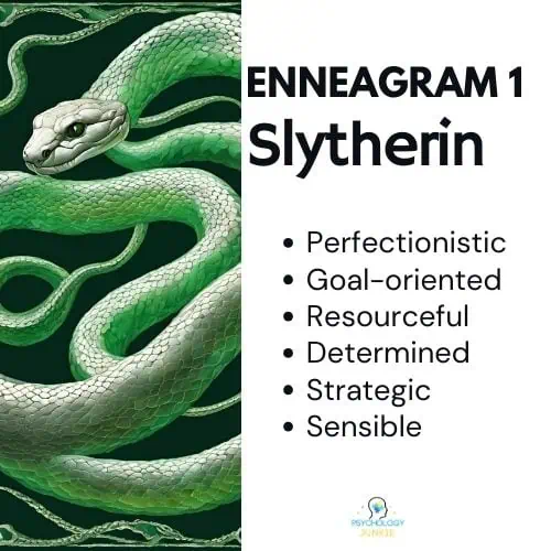 Enneagram 1 is a slytherin