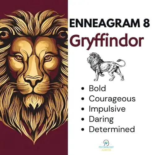 Enneagram 8 is Gryffindor