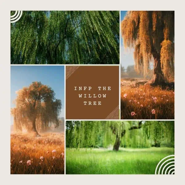 INFP natural wonder is the willow tree