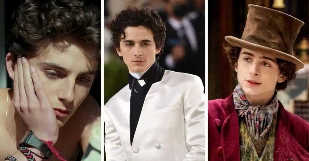 Timothée Chalamet's personality type according to the 16 personality MBTI system.