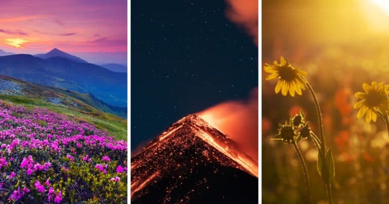 Find out which amazing thing in nature you'd be, based on your Myers-Briggs personality type (MBTI).